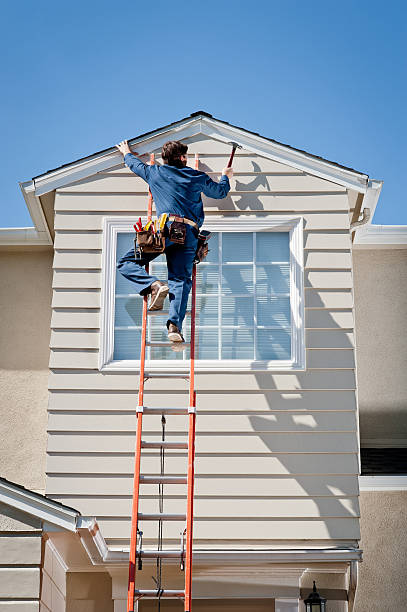 Best Siding Painting and Refinishing  in Homeland Park, SC